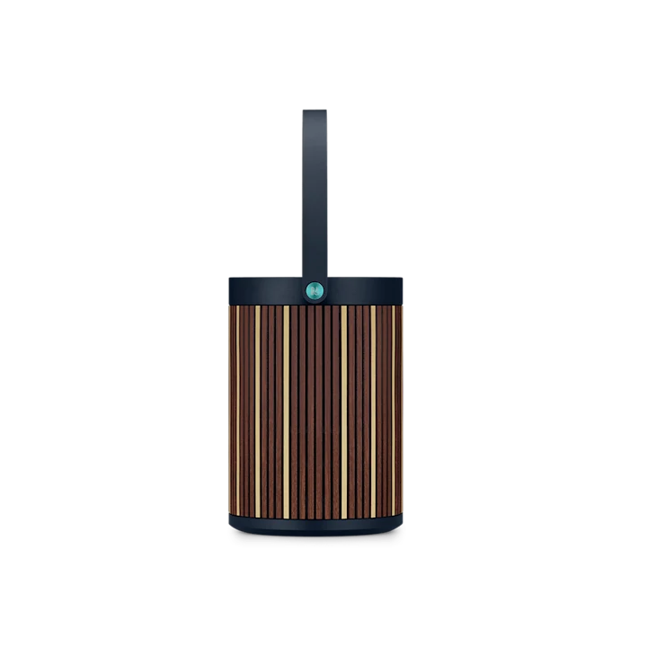 Zvučnic Bang & Olufsen BO Beosound A5 RIVA