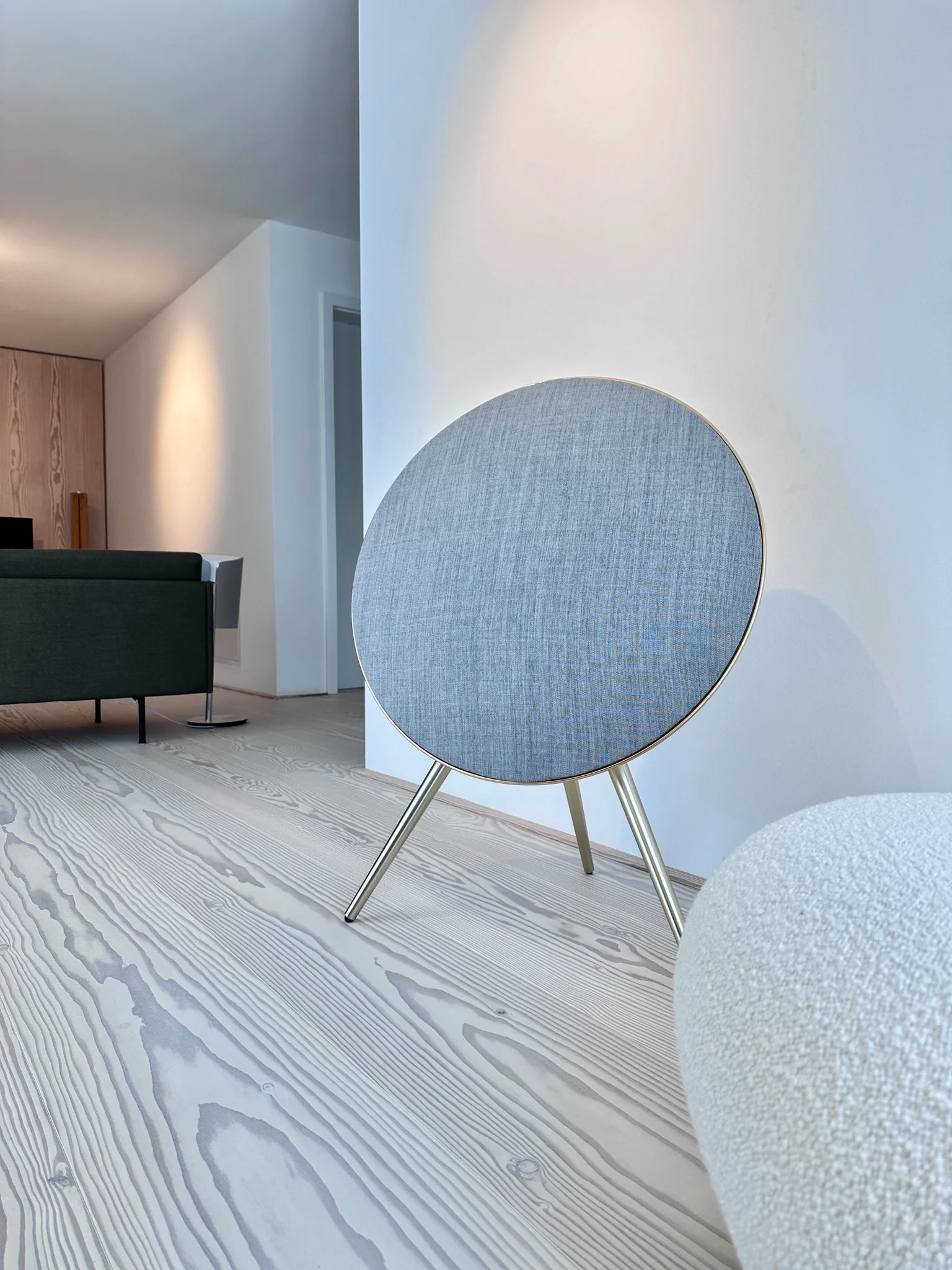 Zvučnic Bang & Olufsen BO Beosound A9 Natural Aluminium