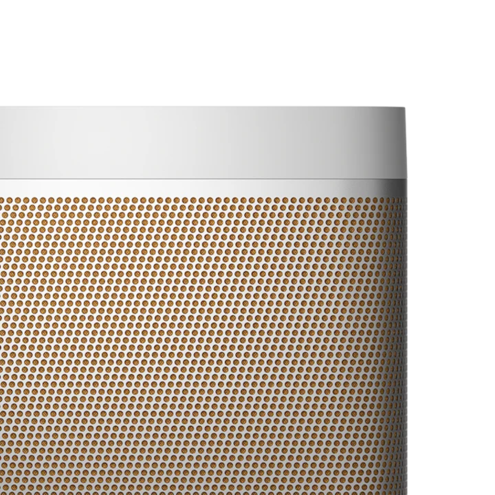 Zvučnik Bang & Olufsen BO Beolit 20 Grey Mist