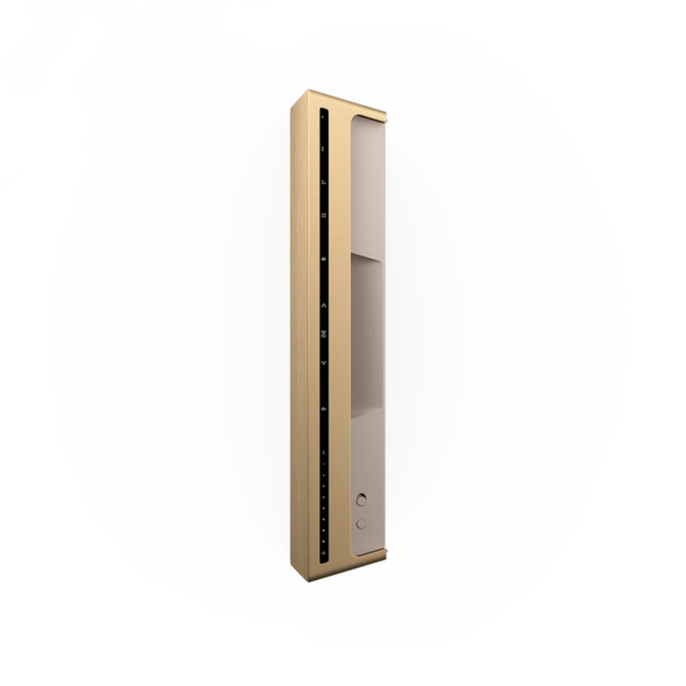 Zvučnik Bang & Olufsen BO Beosound Level Gold tone