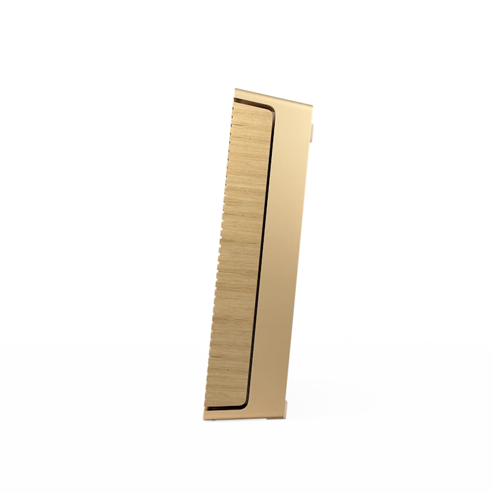 Zvučnic Bang & Olufsen BO Beosound Level Gold tone