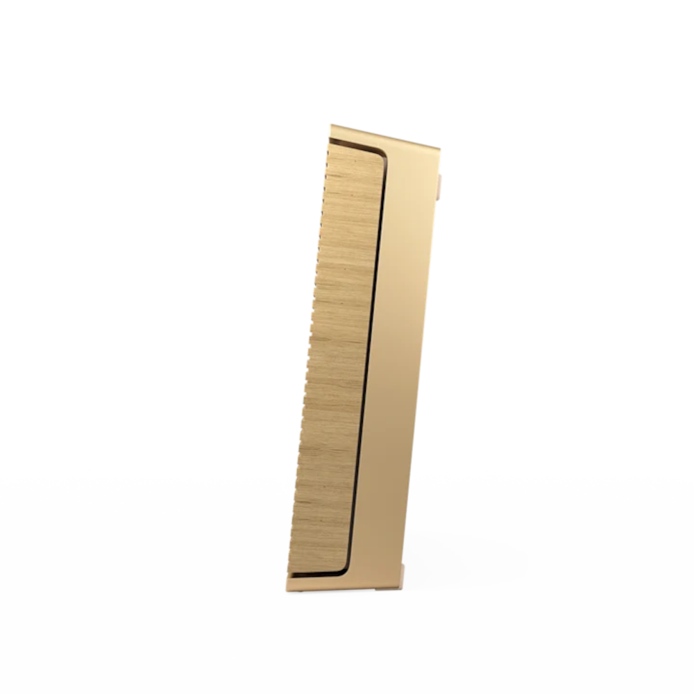 Zvučnik Bang & Olufsen BO Beosound Level Gold tone