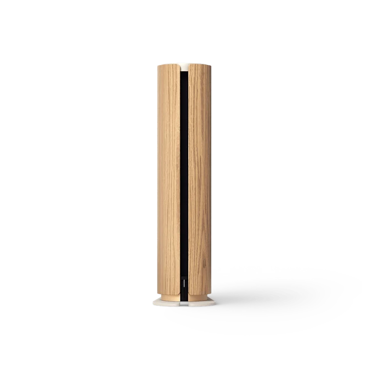 Zvučnic Bang & Olufsen BO Beosound Emerge Gold Tone