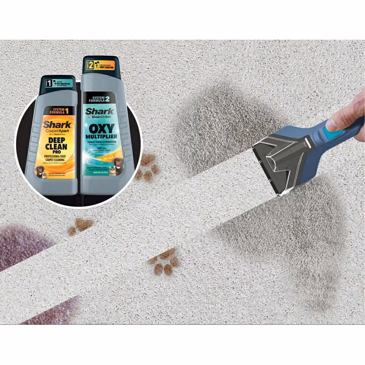 usisivač SHARK SHARK StainStriker CarpetXpert Formula Bundle
