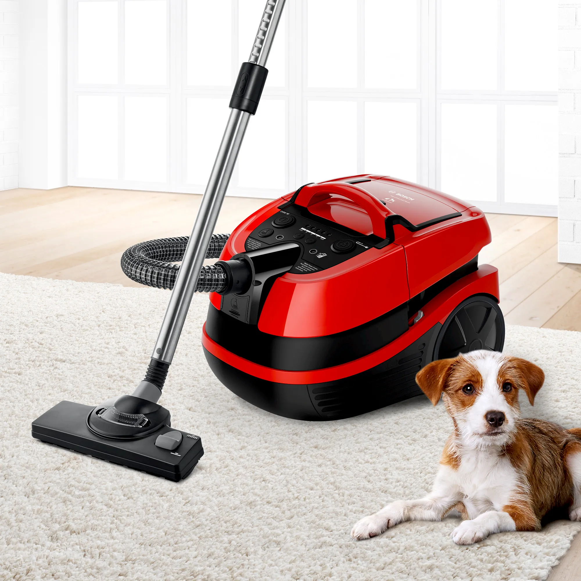 usisivač Bosch Bosch BWD421PET