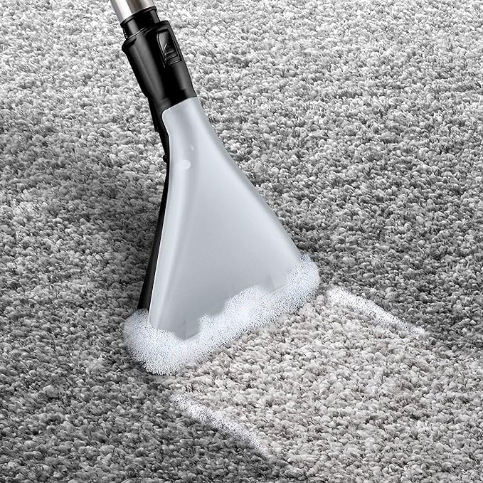 usisivač Bosch Bosch BWD421PET